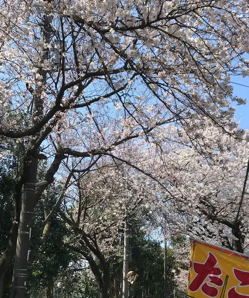 市川駅周辺】商談/打ち合わせで使えるカフェを比較！電源/Wi-Fiの有無・予約可否情報あり！ | 打ち合わせカフェ比較