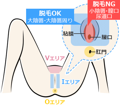 パイパンって本当にいるの？【閲覧注意】 - ぶろぐ猫の目