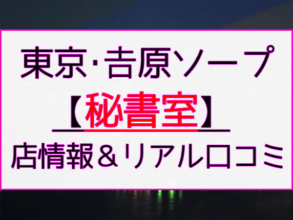 NN/NS店あり】東京吉原の高級ソープランドおすすめランキング | 風俗ナイト