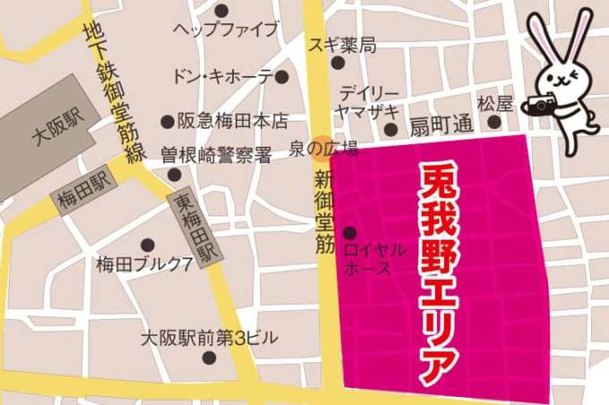 大阪梅田風俗嬢評価新聞.35 「にゃんだフルボッキ 梅田店」おうか/９３点 : 関西(大阪・神戸・京都)-風俗嬢評価新聞