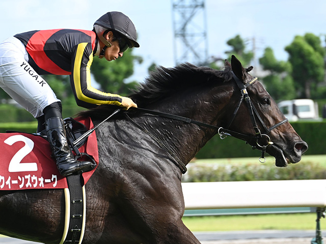 11月18日（金）、ボートレース住之江主催ガラポン抽選会イベントを行います。 - ボートピア京都やわた