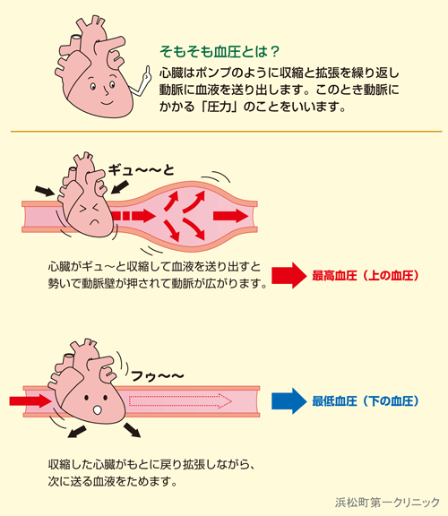 勃起 01808017965 の写真素材・イラスト素材