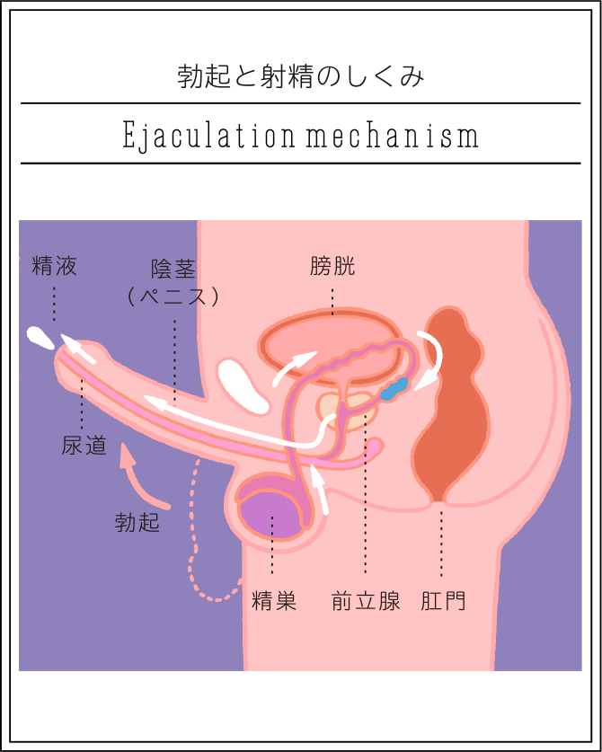 Amazon.co.jp: 完全セフレ量産マニュアル vol.７: 初心者必見！ラブホテルの使い方と前戯・セックス