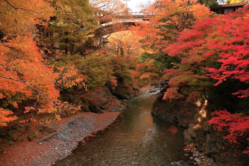 インスタ映えする岡山のおすすめ紅葉スポット5選！穴場もご紹介！｜おか旅 | 岡山観光WEB【公式】-