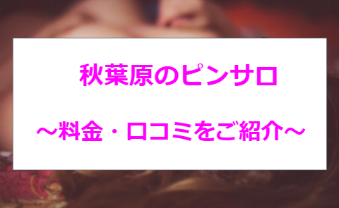 体験談】秋葉原のデリヘル「Cawaiiハイスクールリターンズ秋葉原校」は本番（基盤）可？口コミや料金・おすすめ嬢を公開 | Mr.Jのエンタメブログ