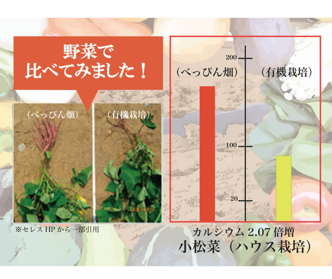 徳島で知っておくべき9つの美味しいグルメ