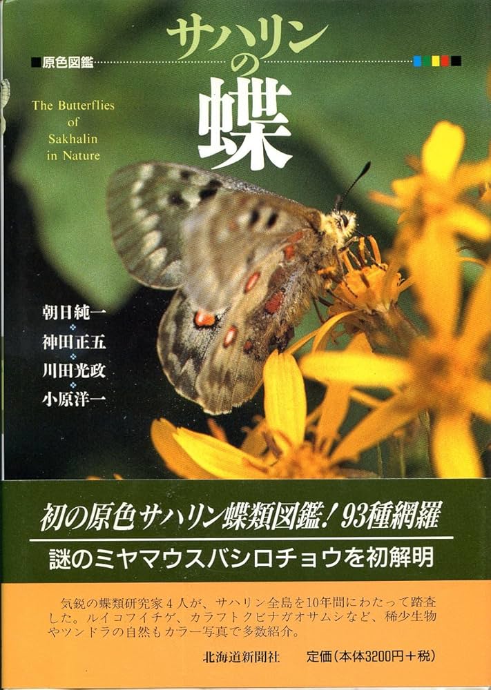 プチ熟女クラブ 花蝶~hanachou~ ｜ 20代後半、30代、40代以上のキャバクラ・ナイトワーク求人【R30ナイトバイト】