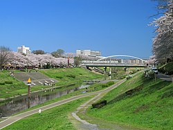 寄り道して見つける千葉の魅力