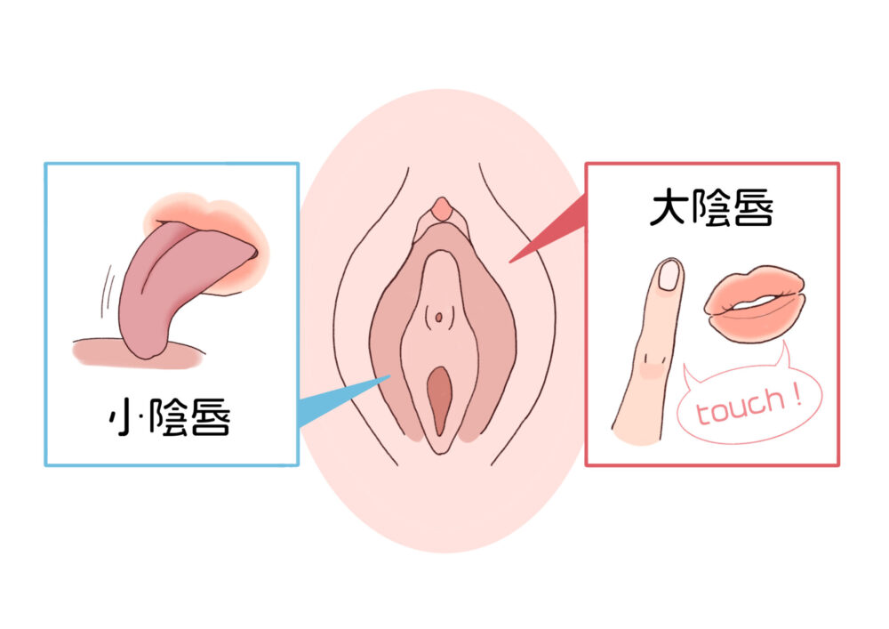 クンニリングスのやり方10選！イラストで解説する気持ちいいクンニのコツ｜風じゃマガジン