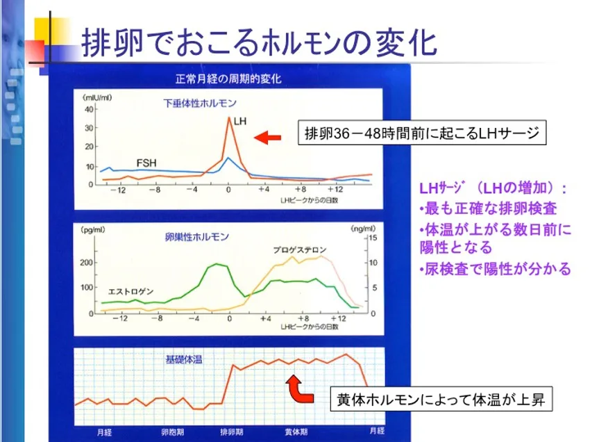 処女膜強靭症｜池袋アイリス婦人科クリニック【東京】セルフチェック方法