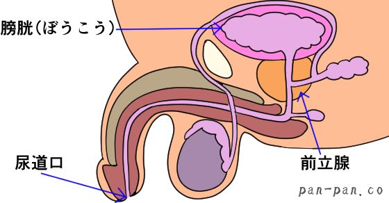 誠実さが込められた一杯 千歳烏山『榮じ』 - 明るく正しく強いブログ