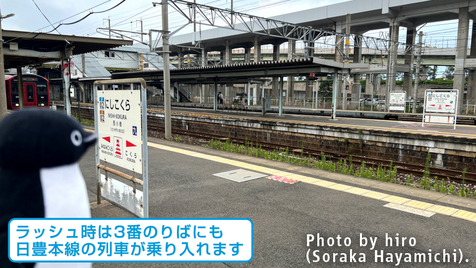 西小倉駅周辺 中学生・高校生向け 駅から徒歩10分以内(800m) 子供の遊び場・お出かけスポット |