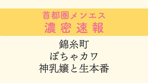 錦糸町の裏オプ本番ありメンズエステ一覧。抜き情報や基盤/円盤の口コミも満載。 | メンズエログ