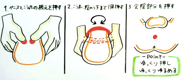 勃起力を高める!?睾丸マッサージとは？気持ちいいやり方を紹介