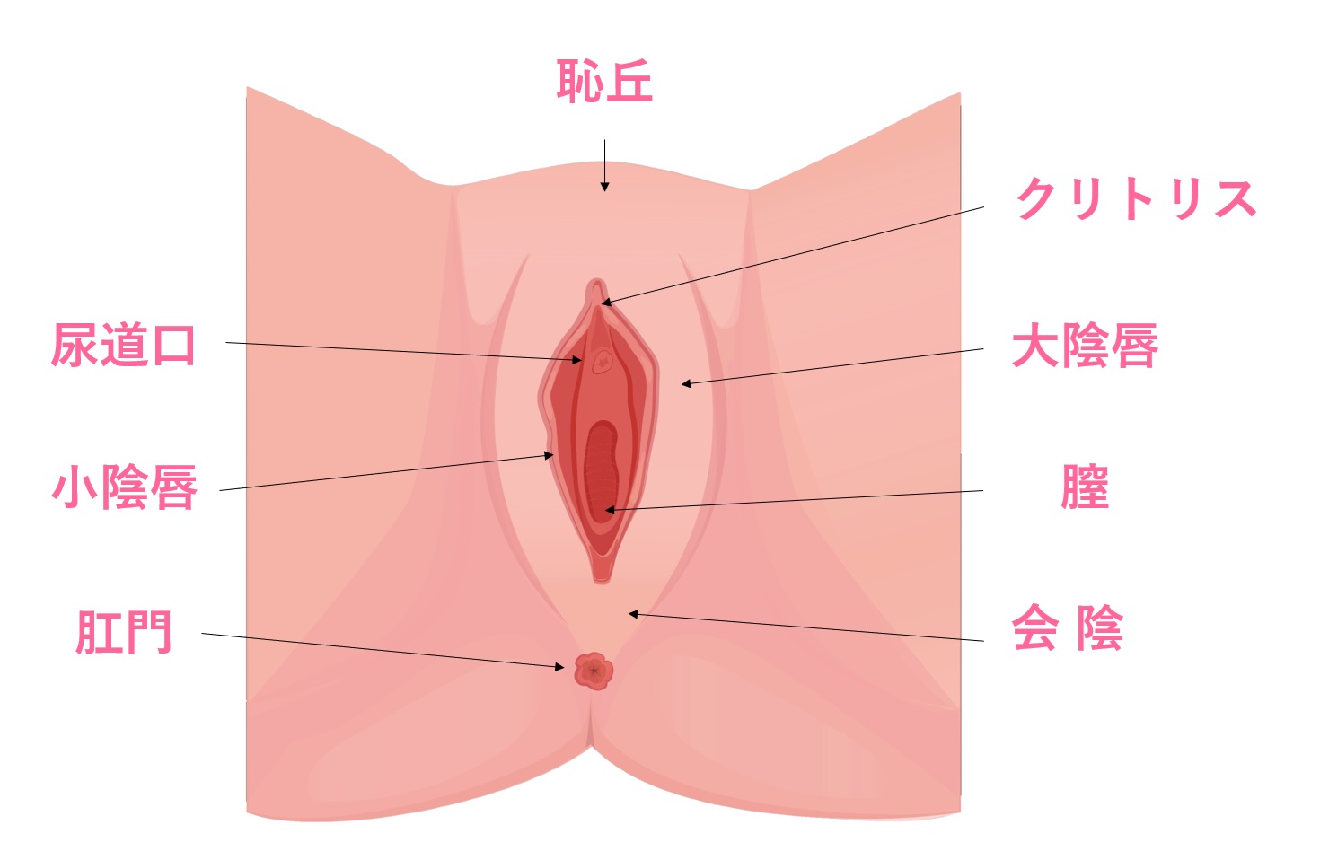 まんこの平均サイズと綺麗な大きさの基準【男性の本音】 | セクテクサイト