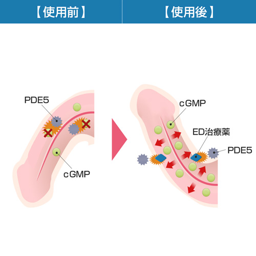 バリフ通販【正規品購入】口コミあり！即日発送 ｜グー薬局