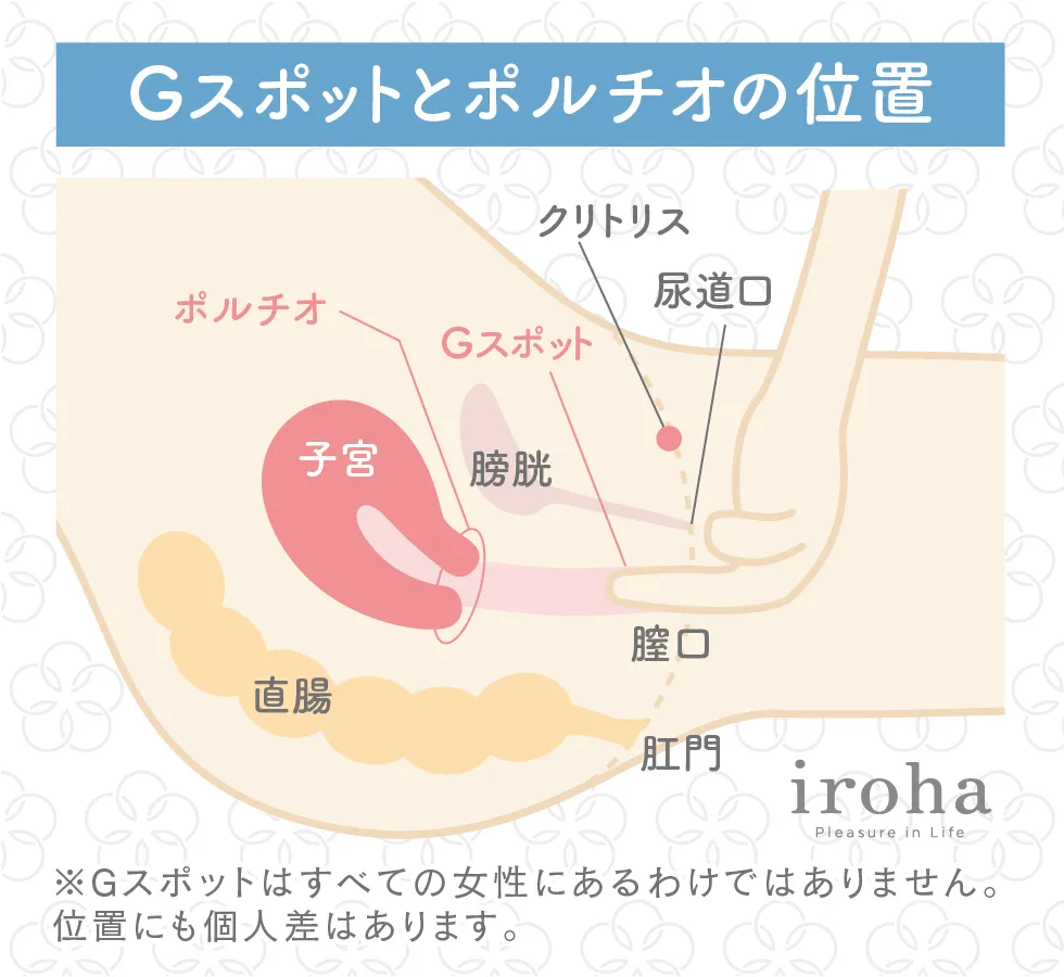 Gスポット開発とは？場所と位置の見つけ方 - 夜の保健室