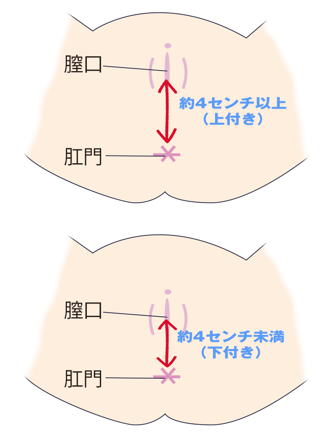 最新版】長崎・浦上・佐世保エリアのおすすめメンズエステ！口コミ評価と人気ランキング｜メンズエステマニアックス