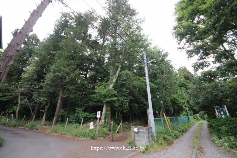 出入り口の数でクイズできちゃうね！「中央林間駅」編【大和市の各駅を巡る旅】 : 大和とぴっく-やまとぴ