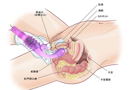 女性のためのG スポットバイブレーター乳首マッサージ刺激装置乳首マッサージャー女性オナニー大人のための大人の大人の大人の男性の大人のおもちゃsh190725を￥2,281  |