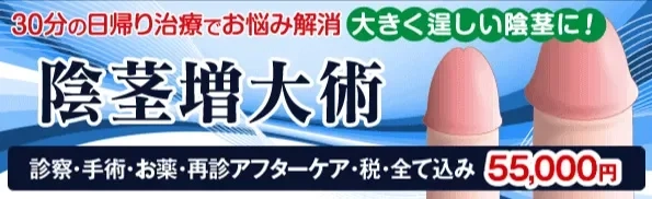 ハンド部女子【連載】インカレ直前特集『GIANT KILLING』（女子部） –