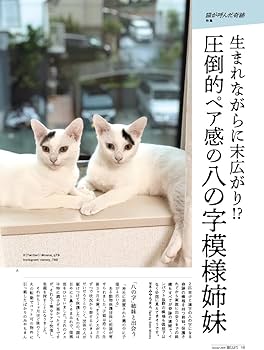 猫が喜ぶ触り方は？嫌われる触り方と好かれる触り方について！ | ペットショップ 犬の家&猫の里 |