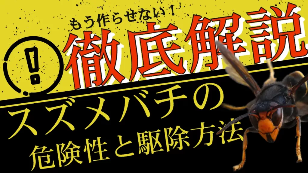 グランドOPENのお知らせ ／ みなさま、大変長らくお待たせいたしました!! いよいよ11月20日(火)に