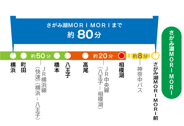 ≪NEW≫そうにゃんが行く！相鉄沿線ぶらり発見！そうにゃんだー！【さがみ野駅編】