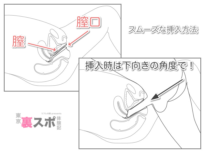 簡単ステップでワードにグラフを挿入しよう | BizDrive（ビズドライブ）−あなたのビジネスを加速する｜法人のお客さま｜NTT東日本