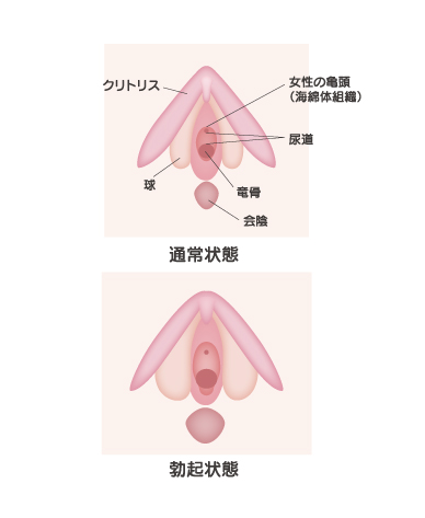 セックステクニックで女性を本当に気持ちよくする基礎知識【男性向け】－AM