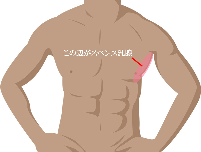 男性の性感帯って意外に多い！？乳首やアナルなど男の性感帯の見つけ方