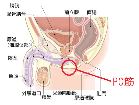 催眠音声 脳イキ】ふかふかのベッドで一緒にトロける催眠体験～同化する意識と高まる快感～【連続絶頂 依存性有り】※男性向け -