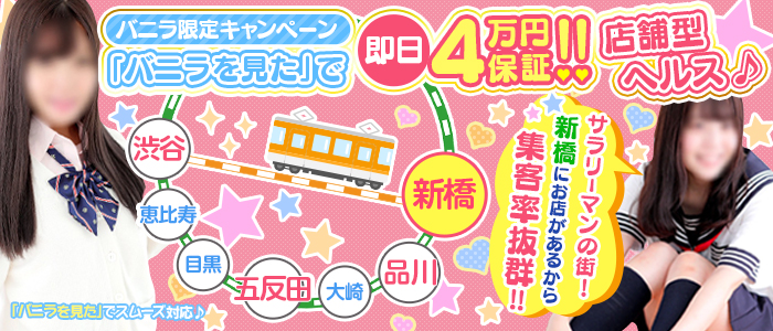 新橋のぽちゃ系・デブ専求人(高収入バイト)｜口コミ風俗情報局