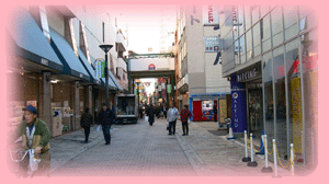 元祖七輪炭火焼ホルモン おさやん! 京急本店（川崎駅周辺/ホルモン）