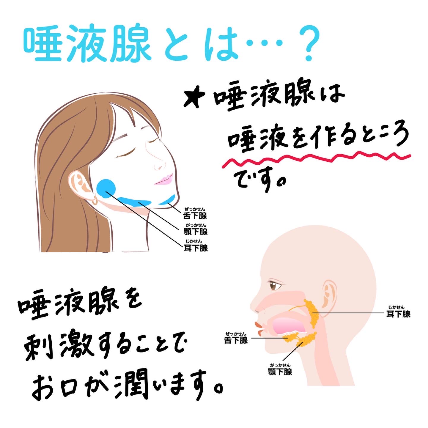 猫が毛繕いするのはなぜ？その理由と心理・頻度の変化でわかる注意サインを紹介 - 猫の行動とその理由（性格・習性）｜国産フード・ご飯は【ペットライン】