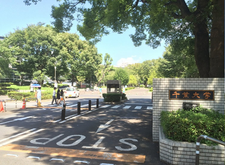 県内各地で青空 広い範囲で”春本番の陽気” に／千葉県(チバテレ＋プラス) - goo