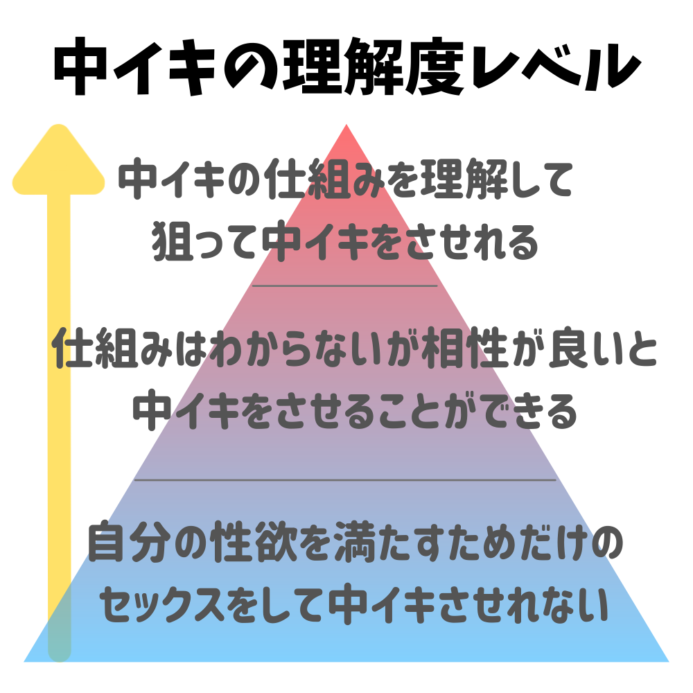 膣性感開発 中イキ完全マニュアル イラスト版