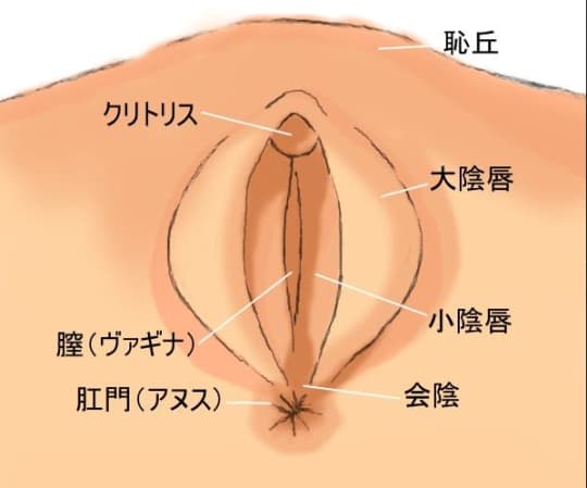 クリイキとは？クリトリスでオーガズムを感じる方法や中イキとの違いについて解説！【快感スタイル】