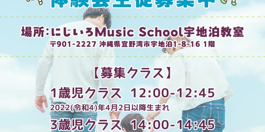 送料無料・【北海道・沖縄を除く】新品NSギターライフ Lesson1 for Nintendo 色っぽ