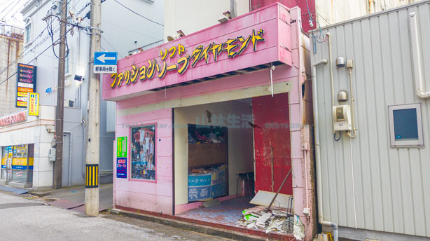 写真](7ページ目)龍馬でもカツオでもない…“ナゾの県庁所在地の駅”「高知」には何がある？ | 文春オンライン