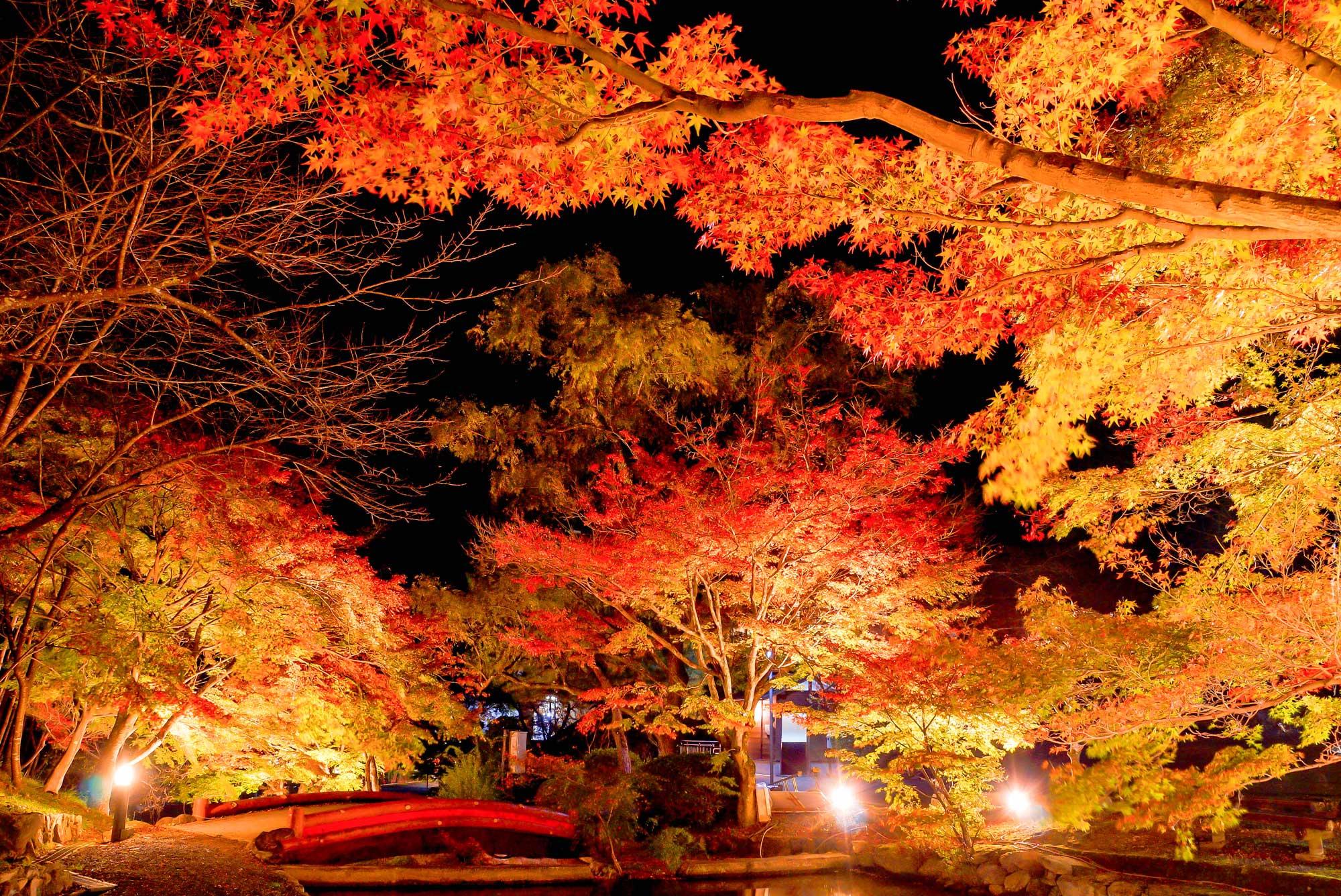 2024】関東の絶景🍁紅葉の名所スポットランキング！ 日帰りOK！見頃や穴場も紹介 - Nature Station