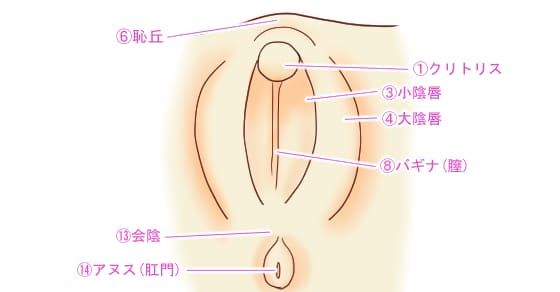 男女別に解説】最高に気持ちいいおすすめのまんこの触り方｜Cheeek [チーク]