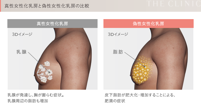 【筋トレ】たった5分でお腹周りの腰肉・浮き輪肉をごっそり落とす鬼の筋トレ【ダイエット】