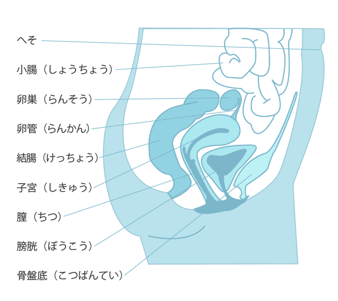 デリケートゾーンの臭いの原因は？ケアの方法や改善策も解説 | 銀座マイアミ美容外科