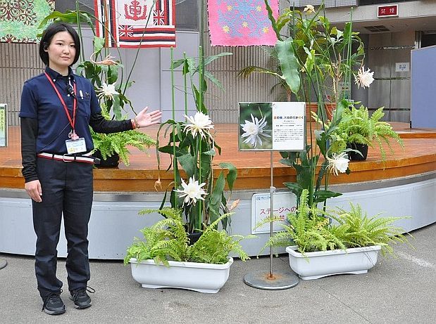 鶴見メンズエステ 月下美人 | JR鶴見駅東口のメンズエステ