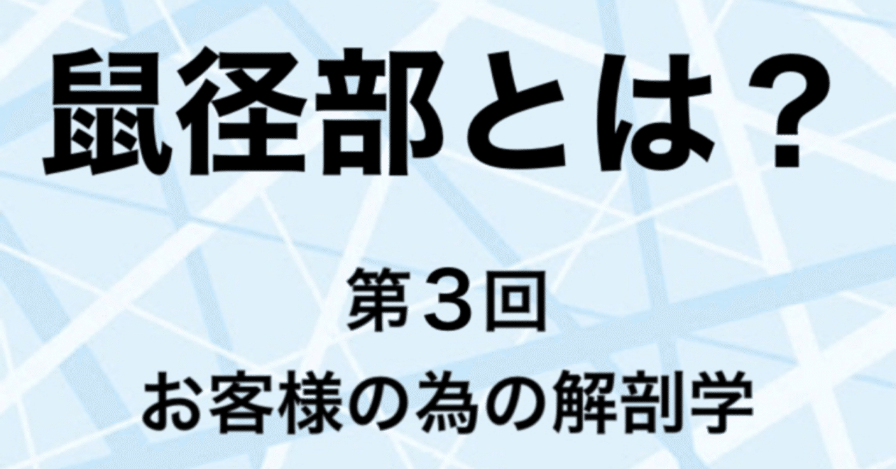 メンズエステの醍醐味！鼠径部マッサージの効果とは？【エステ図鑑東京】