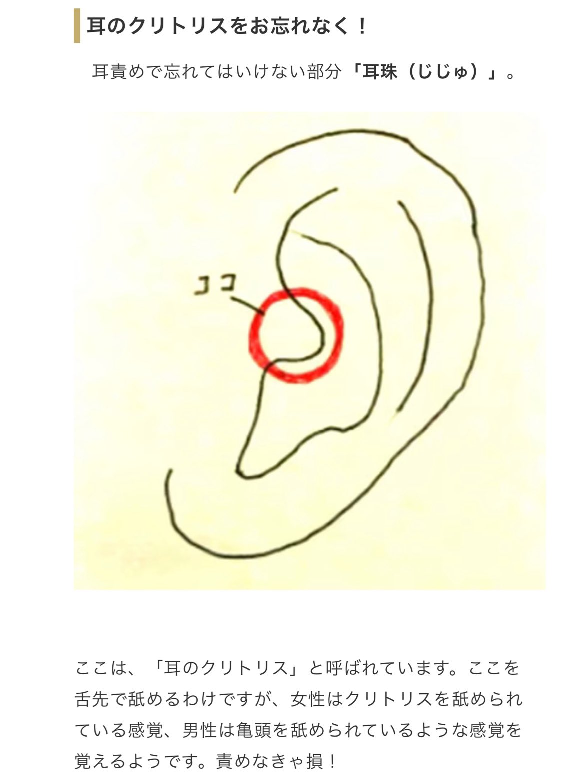 耳の性感帯を愛撫する方法！耳舐めと攻め方 - 夜の保健室