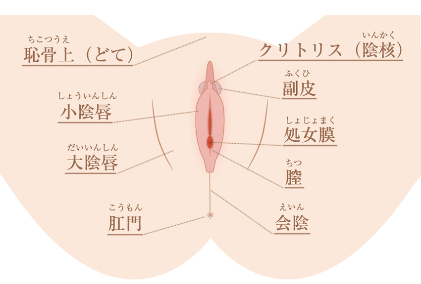 正しい手マンのやり方5選を全20テクの中から厳選！ポイントを押さえれば女の子はイキ狂う！ | Trip-Partner[トリップパートナー]