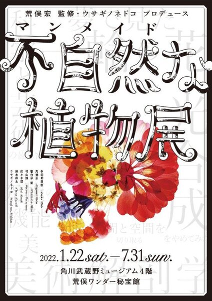 千葉県いすみ市　『 太東埼灯台 』 ＼ 出会えるのは土日祝のみ！