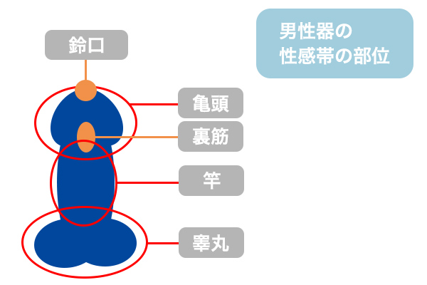 【医者が廃業する】「自慰行為は必ず●●の前にやりなさい！最高に若返るタイミングを暴露します。」を世界一わかりやすく要約してみた【本要約】